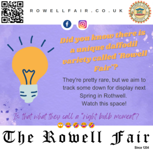 Read more about the article ‘Right Bulb Moment!’